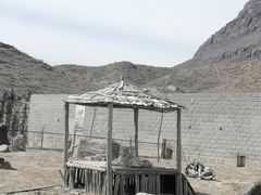 -新疆天山野生动物园