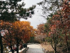-红螺寺
