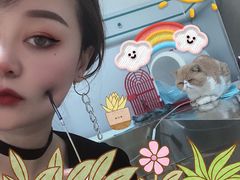 -特一安24小时宠物医院·骨科·中兽医