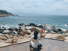 -广东惠东海龟国家级自然保护区