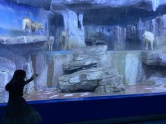 -多彩贵州城极地海洋世界