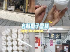 -洪馨椰子