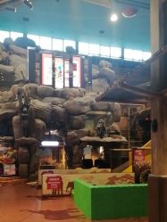 -卡通尼·Safari非洲探索乐园·生日会(金桥国际商业广场店)