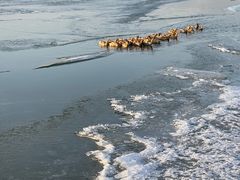 -野鸭湖国家湿地公园