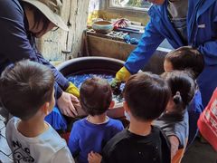 -田园东方蜜桃村的田野营地