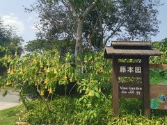 -中国科学院西双版纳热带植物园
