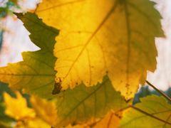 -仙海旅游度假区