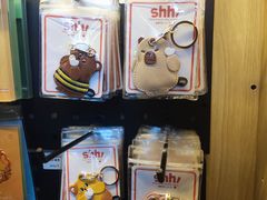 -北京周口店北京人遗址博物馆