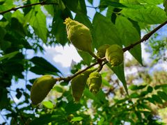 -北京动物园-畅观楼