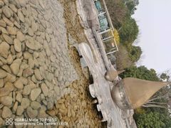 -上海吴淞炮台湾国家湿地公园