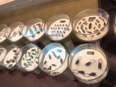 -陕西自然博物馆