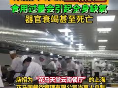 -花马天堂云南餐厅 Lost Heaven(外滩店)