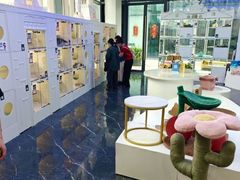 -小猫来了·猫舍(红山六九七九店)