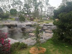 -东莞植物园