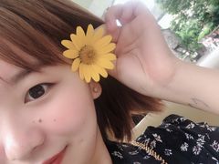 -田园东方蜜桃村的田野营地