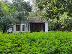 -广州兰圃