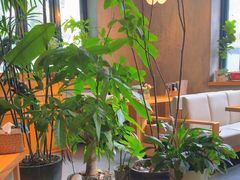 -山茶云南菜(永安里店)