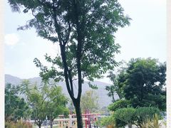 -白石龙音乐公园