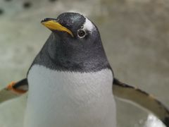 -大连圣亚海洋世界