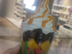-Salud撒露欧洲冻酸奶(北苑上品店)