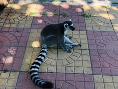 -石家庄市动物园