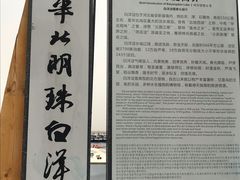 -白洋淀景区