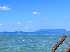 -捞渔河湿地公园