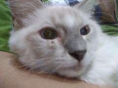 -万小咖.猫咖(中山路天虹店)