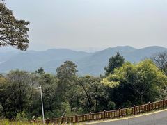 -黄埔油麻山森林公园