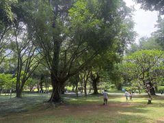 -南宁南湖公园