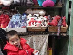 -猫咪博物馆(顶澳仔猫街店)