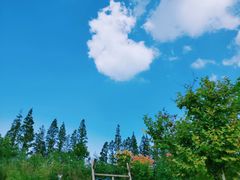 -前小桔亲子创意农场·草莓采摘·露营烧烤