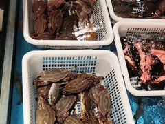 -新南苑酒家(德思勤店)