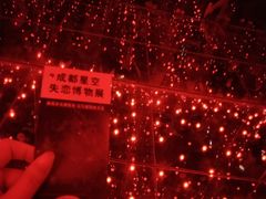-成都失恋馆