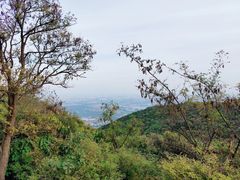 -鬼笑石后山停车场