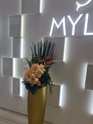 -深圳美莱医疗美容医院