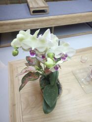 -FineYoga梵音瑜伽·普拉提