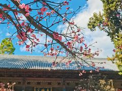 -大理文庙(大理古城)