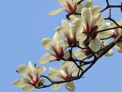 -桃源居(蠡园店)