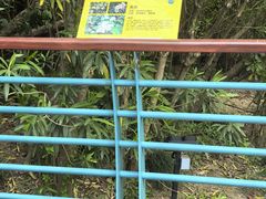 -吴淞炮台湾湿地森林公园烧烤区