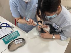 -立德动物医院·24小时中心(番禺区院区)
