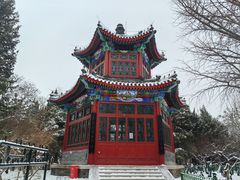 -宣武艺园