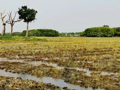 -嘉北郊野公园