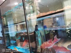 -海都六福酒家(世博广场店)