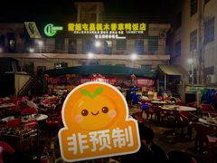 -霞姐屯昌枫木香草鸭店(海螺店)