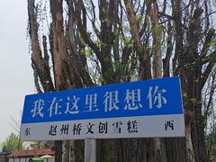 -赵州桥景区