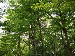 -荔景渔庄