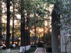 -T80科技文化国际社区-停车场