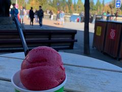 -Patagonia Chocolates(皇后镇店)