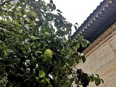 -西安关中民俗艺术博物院